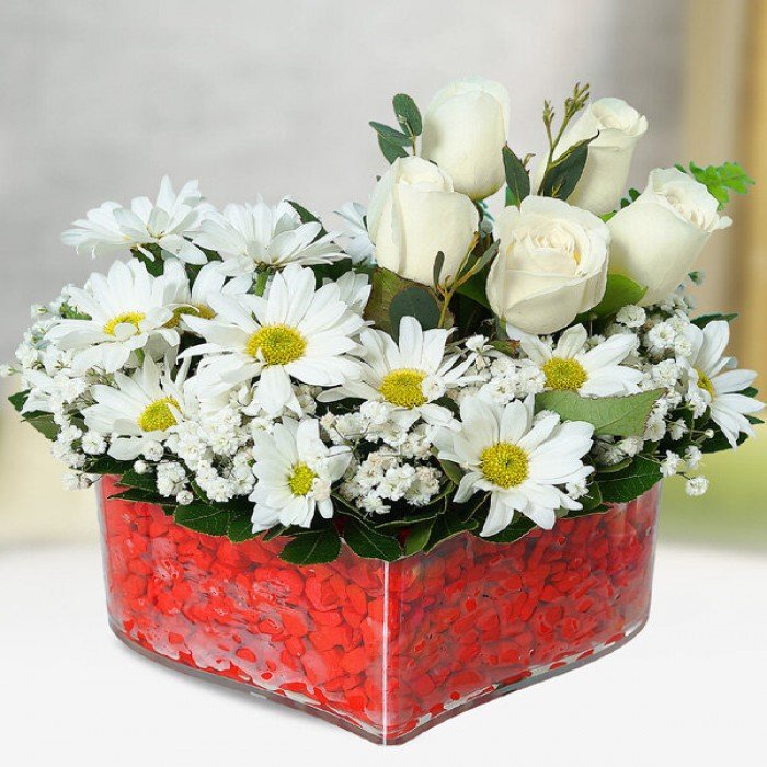 Papatya Ve Beyaz Gül Kalpte